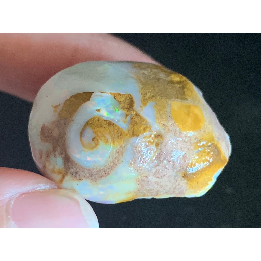 茱莉亞 澳洲蛋白石 蝸牛化石蛋白石 編號SN01 重69克拉 蛋白石化石 澳寶 閃山雲 歐珀 snail fossil