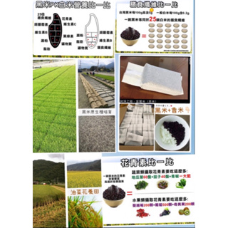 富里鄉小農自產稻米、越光米、糙米、胚芽米