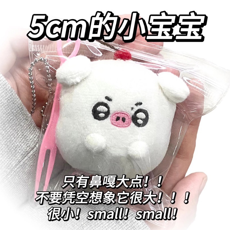 【現貨】王一博 棉花娃娃 看起來很大實際上很小的 奶油豬 5cm 白話日記