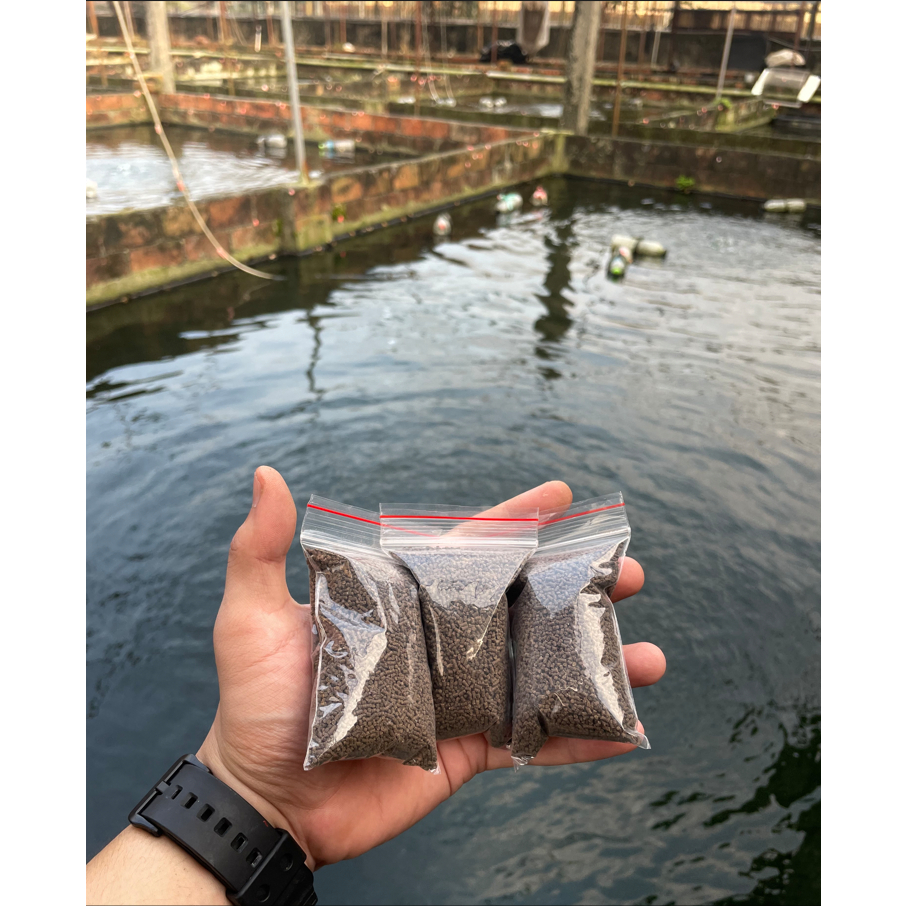 yennpo彩色米蝦專用飼料*150