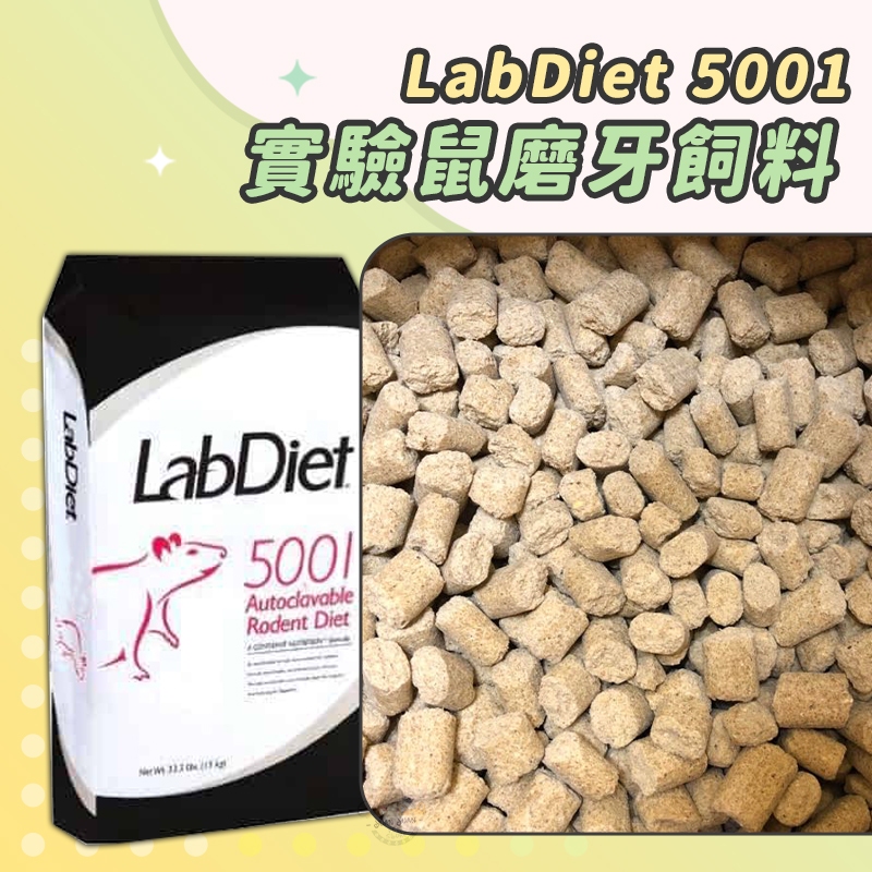 【Yuan²】領券享免運｜LabDiet 5001 實驗鼠磨牙飼料 實驗室鼠磨牙飼料 寵物鼠飼料 倉鼠飼料
