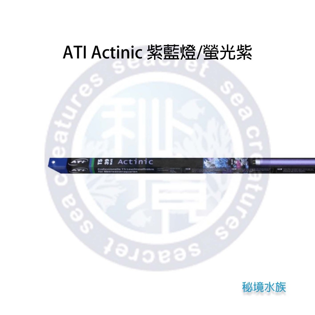 ♋ 秘境水族 ♋【ATI】T5 Actinic 紫藍燈 螢光紫 基本管 24W 39W 54W