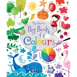 英國Usborne Big Book of Colours認識顏色 認知學習