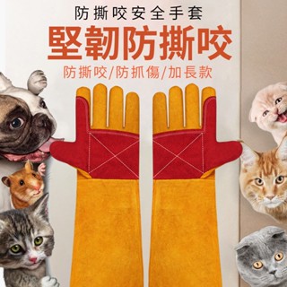 【臺灣出貨】寵物防抓手套 防撕咬手套 訓狗手套 寵物安全手套 牛皮手套 加長加厚款 爬蟲防咬 防抓 寵物洗澡手套