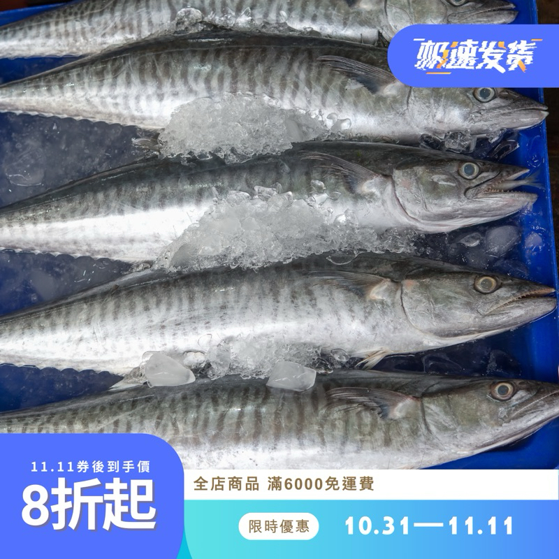 澎湖野生土魠魚整尾賣 【逸家人水產】