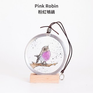 【Pink Robin粉紅鴝鶲】彩繪玻璃 太陽捕手 網美店 窗戶掛飾 捕夢者 鑲嵌玻璃 情人節禮物 北歐風 壁飾琺瑯釉彩