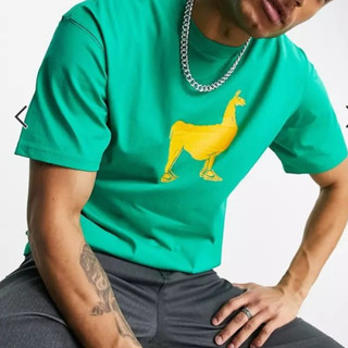 【現貨】Nike SB Llama 男大人特色款短TEE S