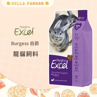 柑仔牧場探險🍊｜Burgess Excel 伯爵 龍貓飼料(薄荷鮮味) 龍貓主食 絨鼠飼料 栗鼠飼料 毛絲鼠飼料