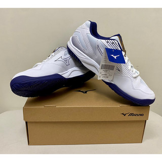 MIZUNO CYCLONE SPEED 4美津濃 男 排羽球鞋 (V1GA238043)