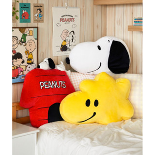 🎈PEANUTS SNOOPY 史努比 家族 造型 居家 抱枕 玩偶 娃娃 療癒裝飾品 查理布朗