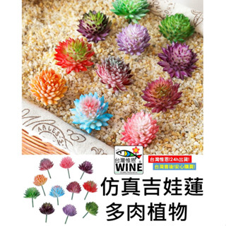 WINE臺灣惟恩 模擬吉娃蓮 多肉植物 彩色模擬多肉 仿真植物 模擬多肉 多肉 植物