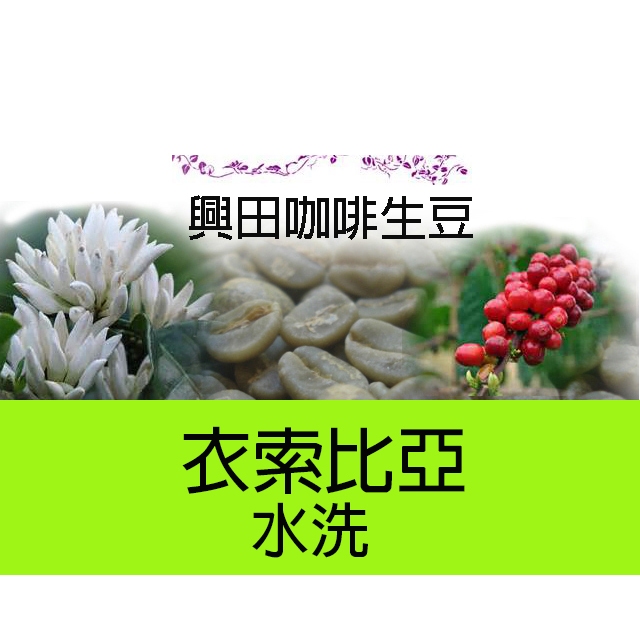 水洗 西達摩 G1 阿貝果那 衣索比亞 *2021年CoE獲獎第2名【每包500公克】【興田咖啡生豆】精品咖啡生豆