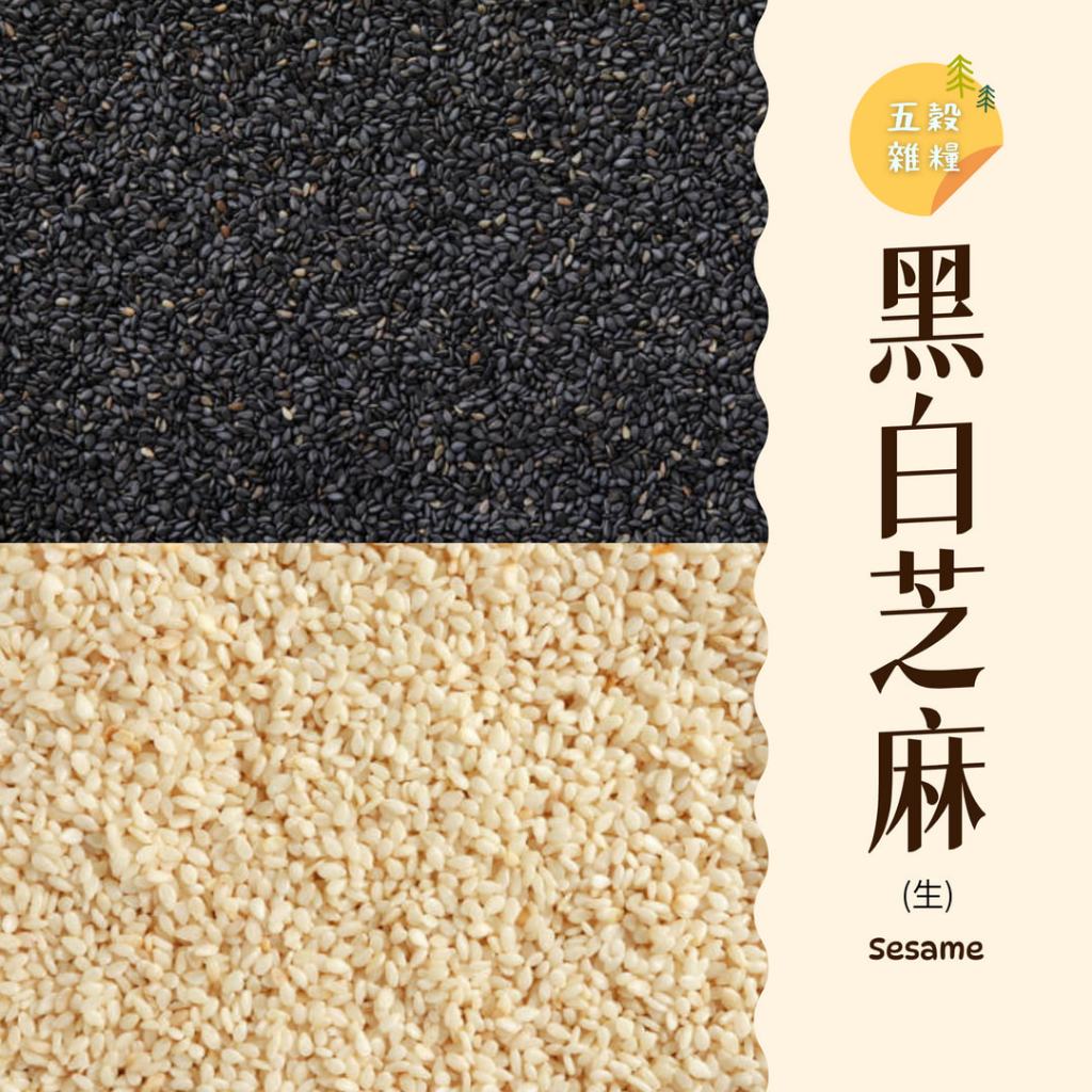 ｜大台南五穀糧倉｜600g 1斤 芝麻 黑芝麻 白芝麻 生芝麻 芝麻粒 之麻 黑白芝麻 綜合堅果 五穀