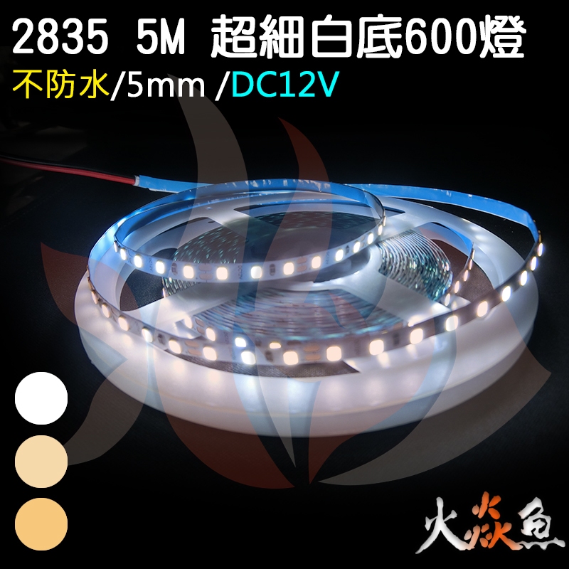 火焱魚 LED 2835 暖白 白 自然光 超細 600燈 5M 5mm DC12V 燈卷 燈條 裝潢 間接照明
