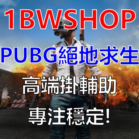 遊戲-PUBG: BATTLEGROUNDS絕地求生 輕鬆吃雞 外掛輔助 透視 自瞄 多功能 多款產品[1BWSHOP]