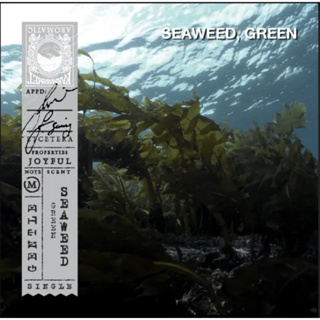 【泰國代購🇹🇭現貨】Karmakamet 綠海藻室內擴香瓶 (Green Seaweed) 200ml