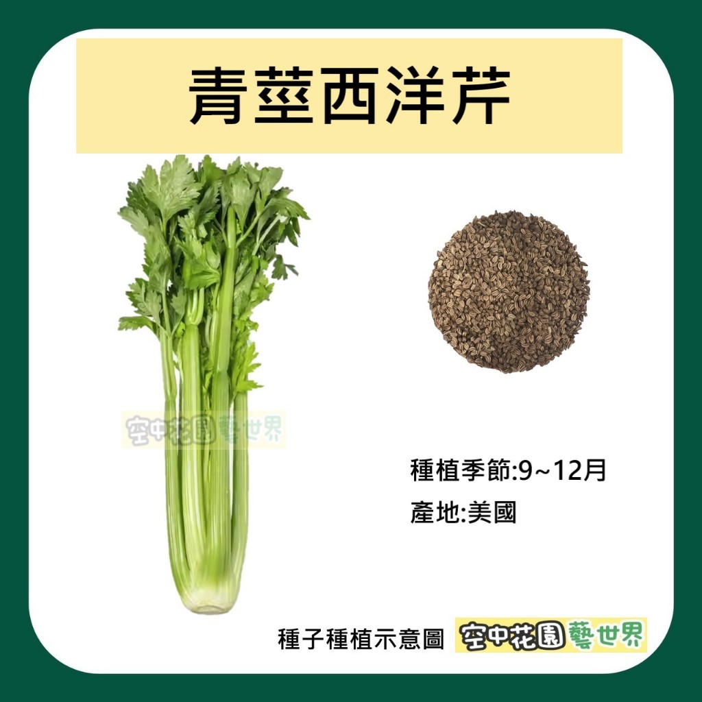 【台灣出貨 電子發票】青莖西洋芹菜種子 0.8克(約2000顆) 種菜 生菜 果汁 假日農夫 開心農場 空中花園藝世界