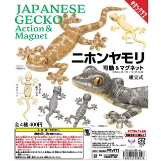 【貓轉角】『現貨單售區』 KITAN 日本守宮可動磁鐵 壁虎 多疣壁虎 轉蛋 扭蛋 守宮 磁鐵