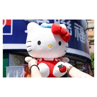 Hello Kitty暖手抱枕毛毯組 玩偶毛毯組/全聯/全新