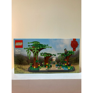 LEGO 40530 珍古德 聖誕節 交換禮物 聖誕禮物 耶誕禮物