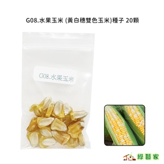 G08.水果玉米種子20顆 (F1.黃白雙色玉米，雙色超甜玉米，穗大，甜度高)果菜類種子【綠藝家】