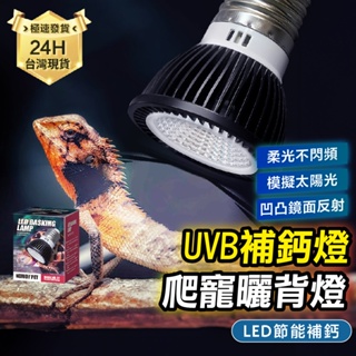 PJ小舖 UVB+UVA 全光譜陸龜補鈣燈 LED 擬太陽燈 補鈣燈 爬蟲曬背燈泡 紫外線 紫外線燈