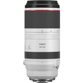 獨家 公司貨 Canon RF 100-500mm F4.5-7.1L IS USM 大砲 長鏡頭 望遠鏡頭 白鏡