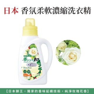 自然風｜日本獅王 香氛柔軟濃縮洗衣精 抗菌白玫瑰 850g 柔軟精 香氛洗衣精