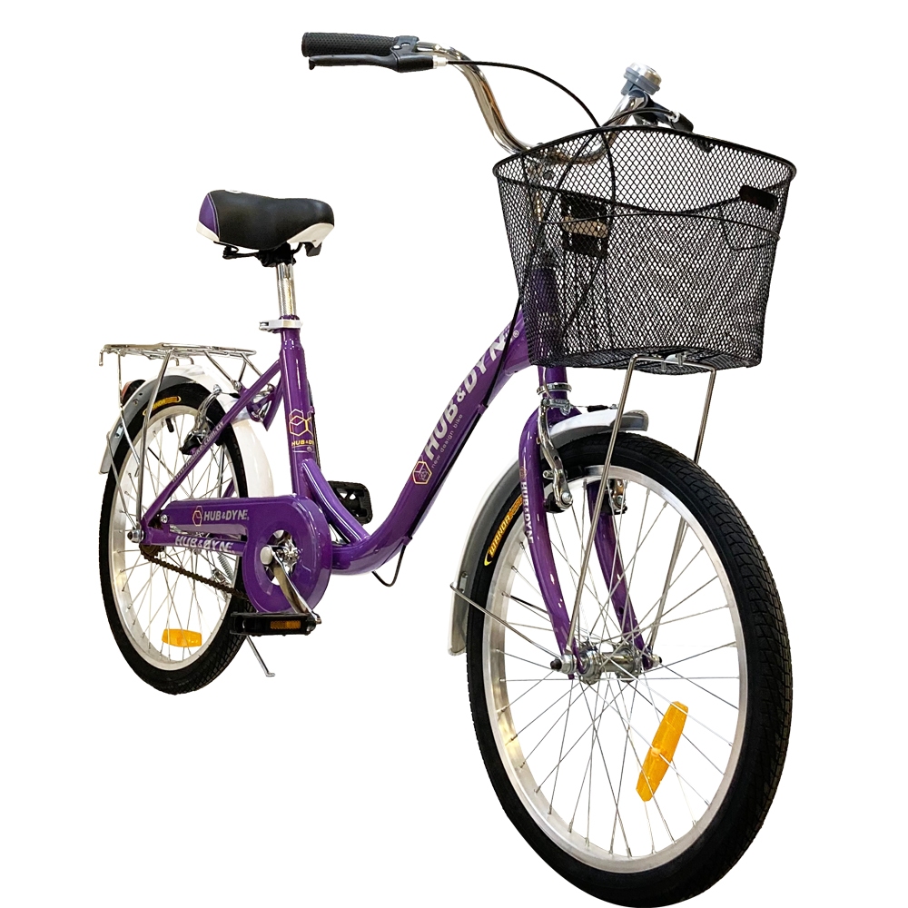 【H&D】20吋單速淑女車 DIY版|140公分即可騎乘 代步腳踏車 買菜載貨 舒適大座墊 | 可成車寄送 車架一年保固