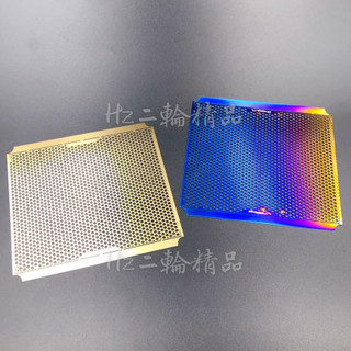 APEXX 鍍鈦 水箱護網 FORCE 2.0 勁戰 六代 水冷 BWS NMAX 曼巴 水箱網 燒鈦 濾網 黃金 彩鈦