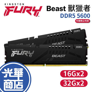 Kingston金士頓 Beast 獸獵者 DDR5 5600 32G 64G KF556C36BBEK2-32 -64