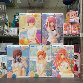 🌀日版客🌀 日版 五等分的花嫁 SEGA 中野一花 中野二乃 中野三玖 中野四葉 中野五月 坐姿 景品 公仔