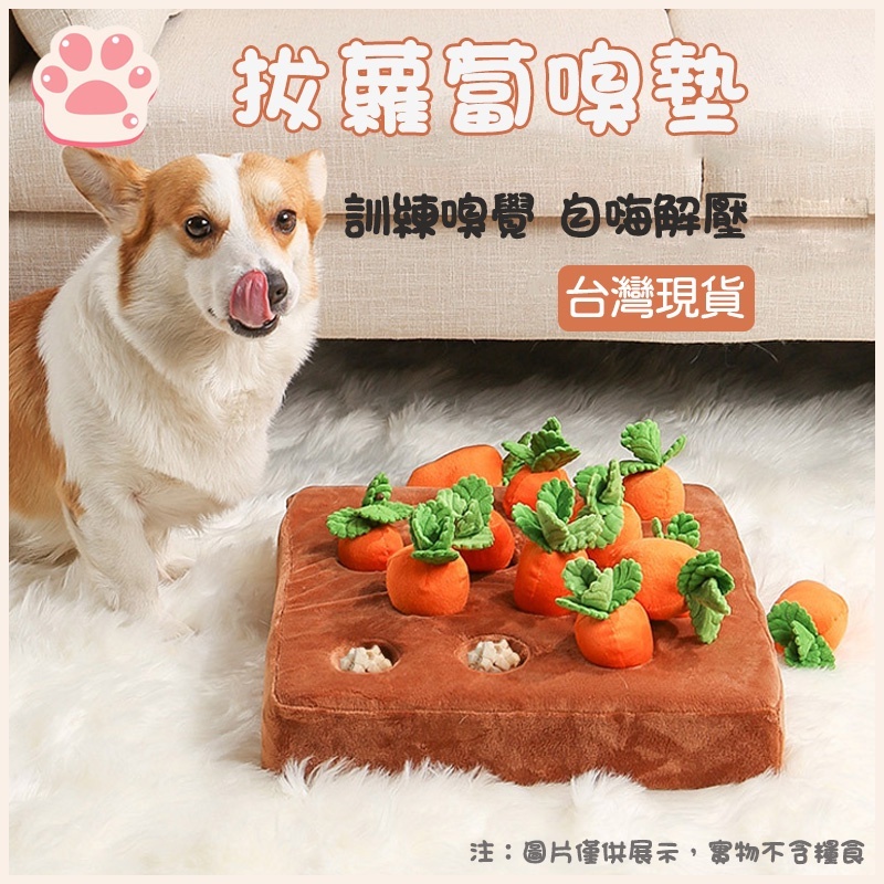 快速出貨趣味拔蘿蔔嗅聞玩具 拔蘿蔔 嗅聞玩具 狗狗玩具 拔蘿蔔玩具 紅蘿蔔玩具 貓狗玩具 寵物益智玩具 蘿蔔菜園寵物玩具