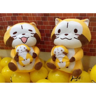 拉斯卡爾 Rascal 抱娃娃 愛心 世界名作劇場 日本 小浣熊 玩偶 娃娃 Sk Japan 景品 收藏 禮物 日貨