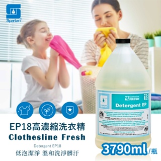 【SPARTAN斯巴達】高濃縮洗衣精-環保專業版3790ml/瓶