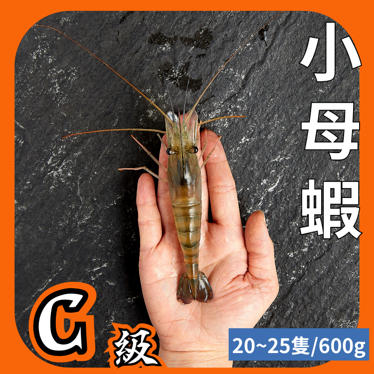 【黑豬泰國蝦】小母蝦1斤約20~25隻/活蝦鮮凍