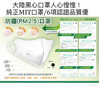 綠欣防PM 2.5口罩10片ㄧ盒