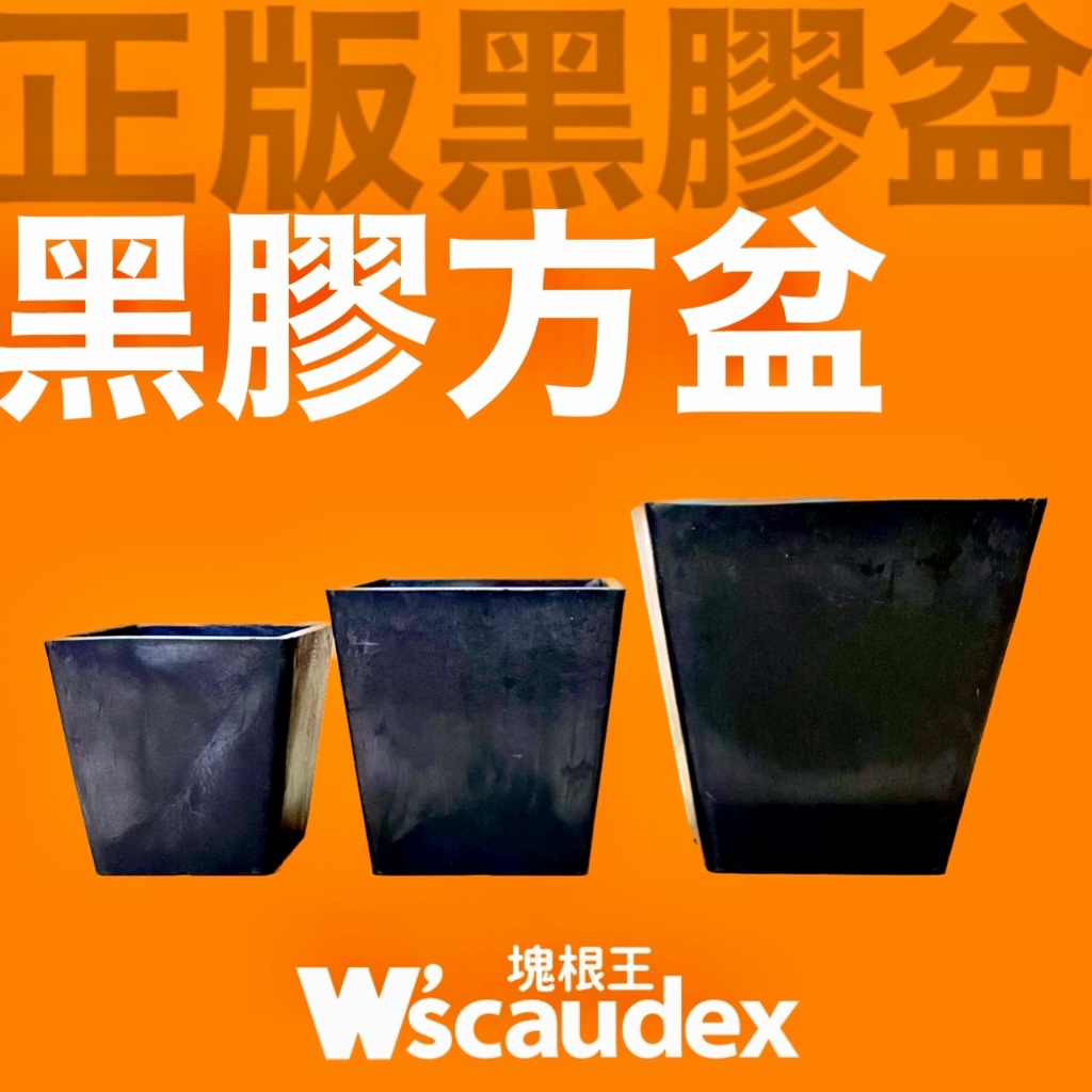 塊根王 正版 黑膠盆 黑膠方盆 日本流行 塊根 多肉植物專用 盆 盆器 花盆
