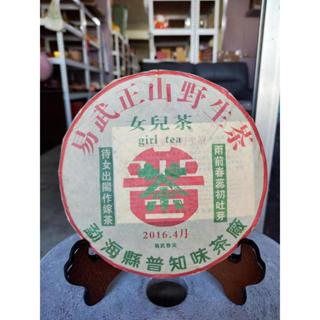 足賀藝品 UQIR 2023年 雲南大葉種 易武正山野生茶 女兒茶 普洱茶 一餅約357公克 (生茶)****