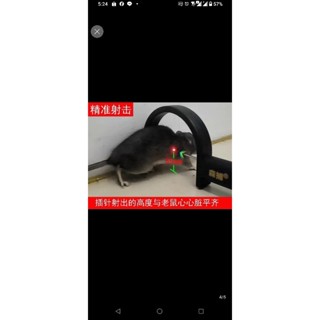 捕鼠神器，紅外線感測，鋼針彈出，刺死老鼠