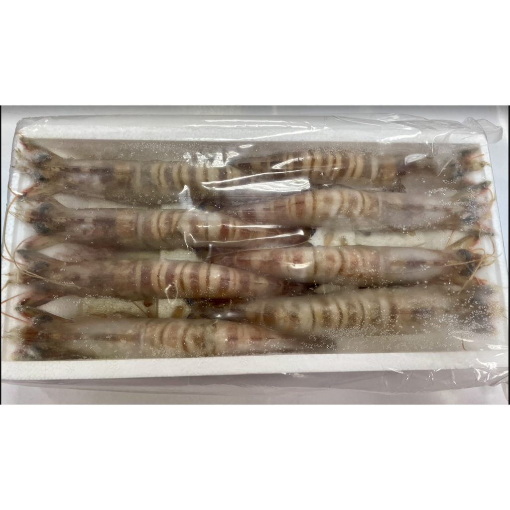 【萬象極品】斑節蝦(明蝦) 8尾/約450g~頂級海鮮食材~絕對挑動您的味蕾~
