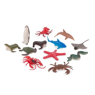 B.Toys TERRA 海洋生物 60入 0062243272842