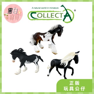 【臺灣現貨】collectA動物模型 健壯馱公馬 洛磯山母馬 修補匠種馬