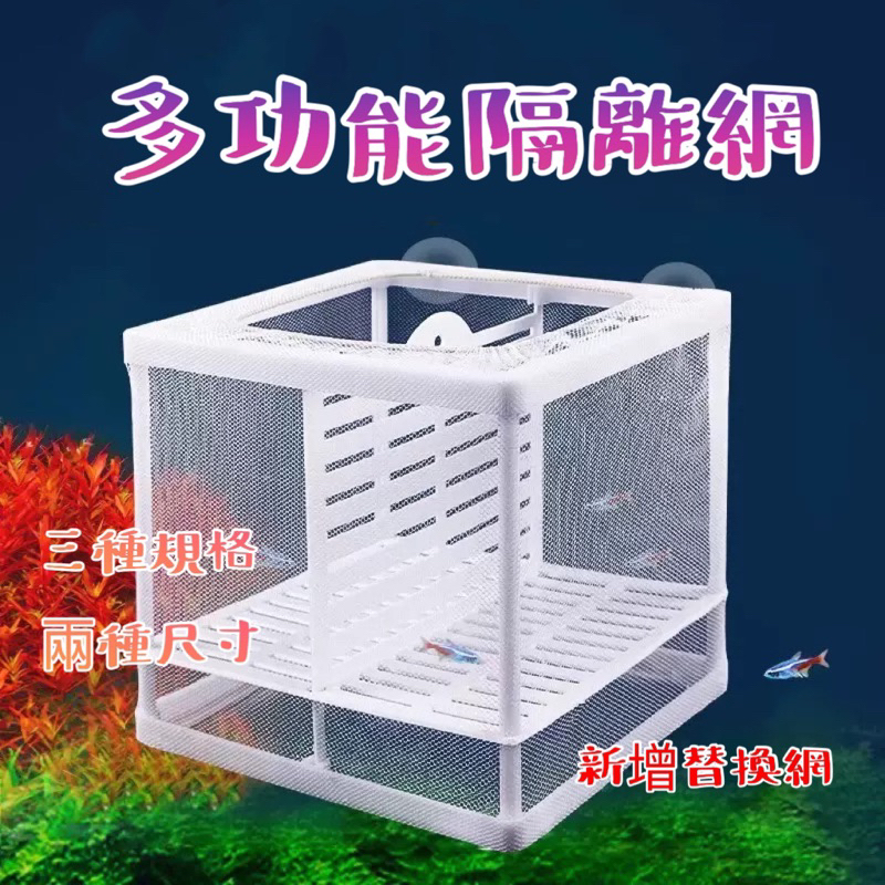 [[一心🇹🇼水族]]【水中隔離網】魚缸水族箱 水中隔離網 繁殖 孵化盒 帶隔離板 魚缸漂浮(帶吸盤）米蝦 養殖 繁殖
