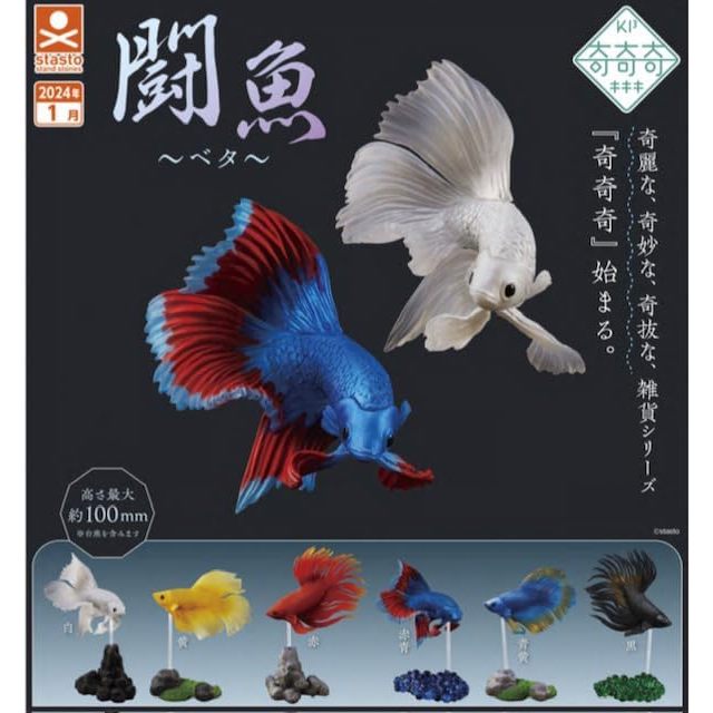 STASTO STAND STONES 鬥魚 betta  6款一組 扭蛋玩具