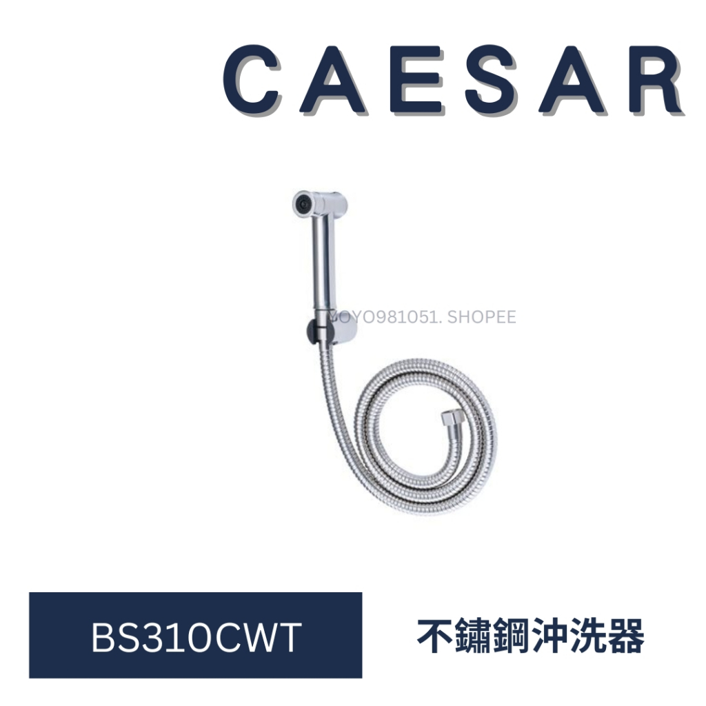 CAESAR 凱撒 不鏽鋼沖洗器  超質感沖洗器 BS310CWT 不鏽鋼 沖洗器 浴室沖洗器 洗屁屁 蓮蓬頭