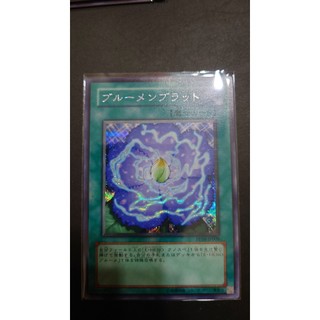 [ PM本舖 ] 日版 遊戲王 PP10-JP008 植物進化論 半鑽