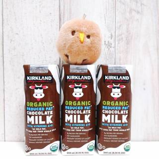 Kirkland Signature 科克蘭 巧克力 保久調味乳 244ML 巧克力牛奶 可可牛奶 保久乳 調味乳