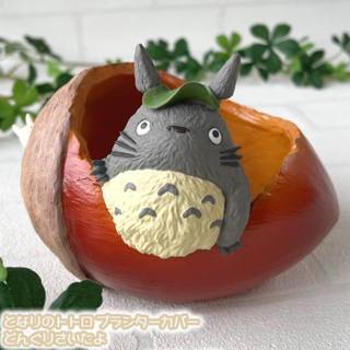 日本帶回 宮崎駿 吉卜力 正版 現貨 龍貓 裂開的橡果 造型花器 擺飾 花器 盆栽 花盆 多肉盆栽 筆筒 小物收納 禮物