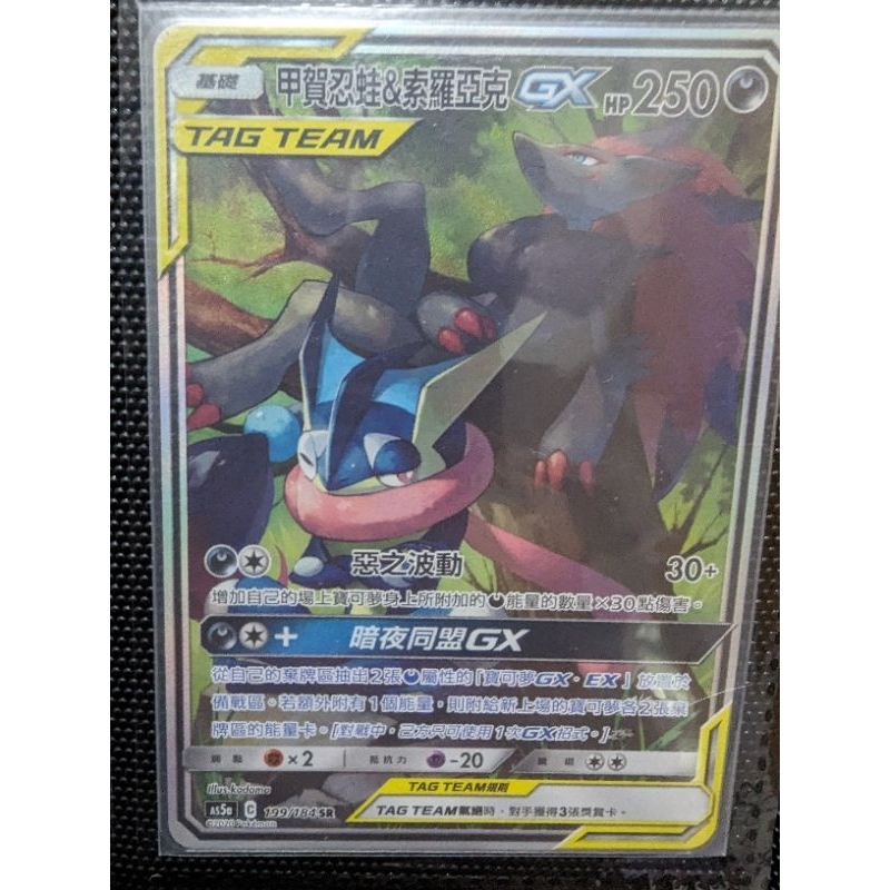 寶可夢中文版 PTCG 甲賀忍蛙&amp;索羅亞克 GX TT SR 異圖